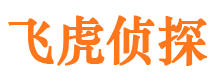 东丽侦探公司